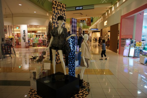 オータムコレクション11 オータムコレクション11