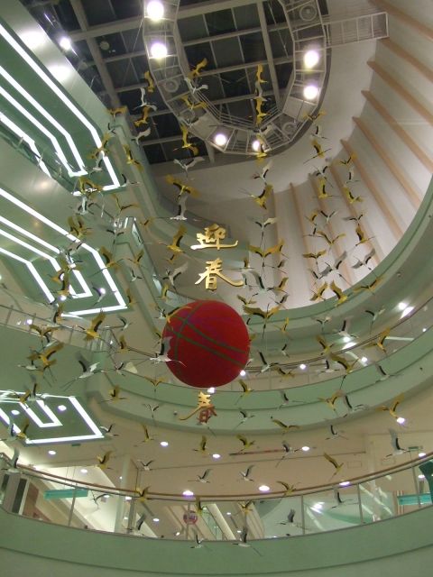 迎春