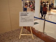 アロサウルス