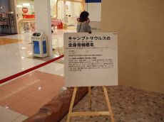 キャンプトサウルス