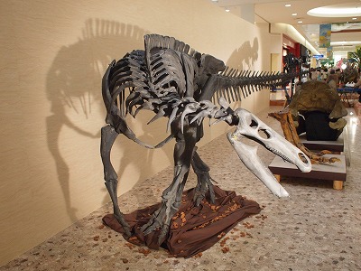キャンプトサウルス骨格