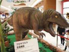 アロサウルス生態模型