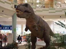 T-REX