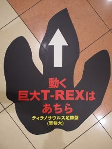 T-REX案内シート
